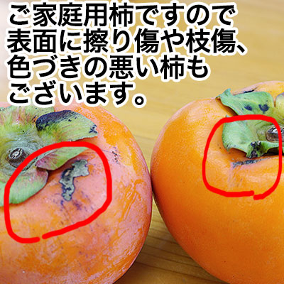 2025ǯ ��ͽ�������<br>�²λ��γ� ��ͭ�������Ρ������� ��4kg��16��20�������<br><br>����̵�� �������ϰ����<br><br>���������ѤΤ������ʴų�����ͭ���ʤդ椦�����ˡ�<br>���郎�������ޤ���<br>��12���ܤ���ν缡�в٤Ǥ���