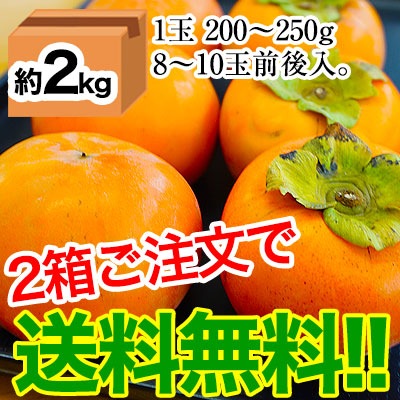 2025ǯ ��ͽ�������<br>�²λ��γ� ��ͭ�������Ρ������� ��4kg��16��20�������<br><br>����̵�� �������ϰ����<br><br>���������ѤΤ������ʴų�����ͭ���ʤդ椦�����ˡ�<br>���郎�������ޤ���<br>��12���ܤ���ν缡�в٤Ǥ���