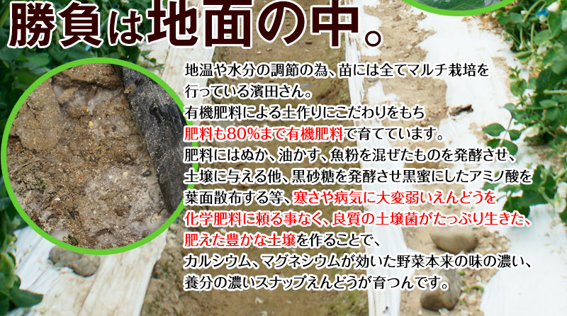 ������ꥹ�ʥåפ���ɤ�2kg<br>���䤴�ȿ��٤�롢�ä��δŤ��Υϥ������ݤΥ��ʥåפ���ɤ�����ľ���Ǥ��Ϥ����ޤ��� ��2025ǯ4���ܤ���ν缡�в�