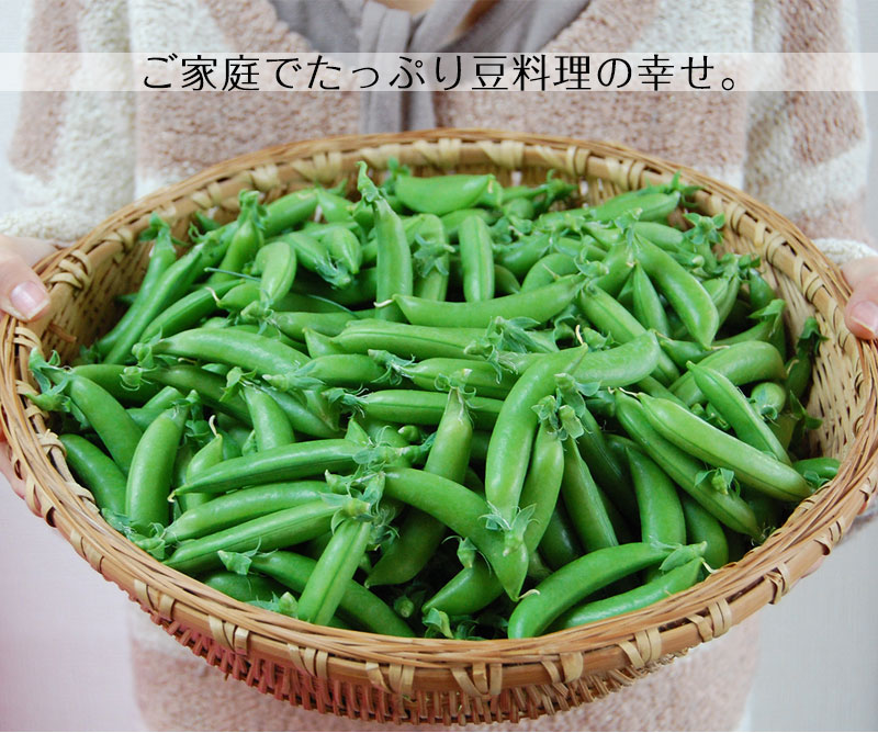 ������ꥹ�ʥåפ���ɤ�2kg<br>���䤴�ȿ��٤�롢�ä��δŤ��Υϥ������ݤΥ��ʥåפ���ɤ�����ľ���Ǥ��Ϥ����ޤ��� ��2025ǯ4���ܤ���ν缡�в�