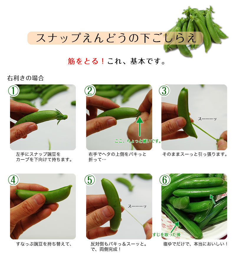 こだわりスナップえんどう2kg Br 匠の里紀州 濱田佳久が育てる Br 安心安全 さやごと食べれる 驚きの甘さの Br ハウス栽培のスナックえんどう を産地直送でお届けします Br Br スナックエンドウ スナップエンドウ 豌豆 豆 えんどう豆 有機肥料栽培 和歌 無添加あん