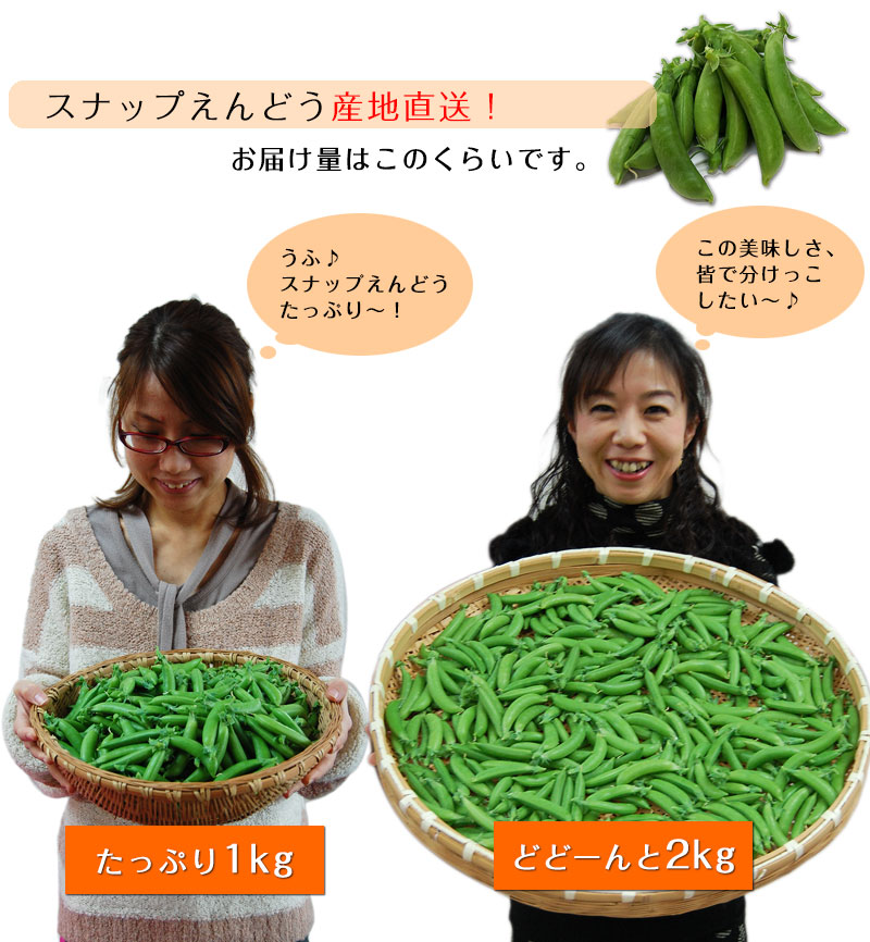 ������ꥹ�ʥåפ���ɤ�2kg<br>���䤴�ȿ��٤�롢�ä��δŤ��Υϥ������ݤΥ��ʥåפ���ɤ�����ľ���Ǥ��Ϥ����ޤ��� ��2025ǯ4���ܤ���ν缡�в�