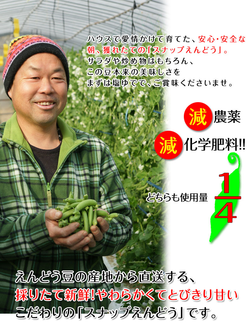 ������ꥹ�ʥåפ���ɤ�2kg<br>���䤴�ȿ��٤�롢�ä��δŤ��Υϥ������ݤΥ��ʥåפ���ɤ�����ľ���Ǥ��Ϥ����ޤ��� ��2025ǯ4���ܤ���ν缡�в�