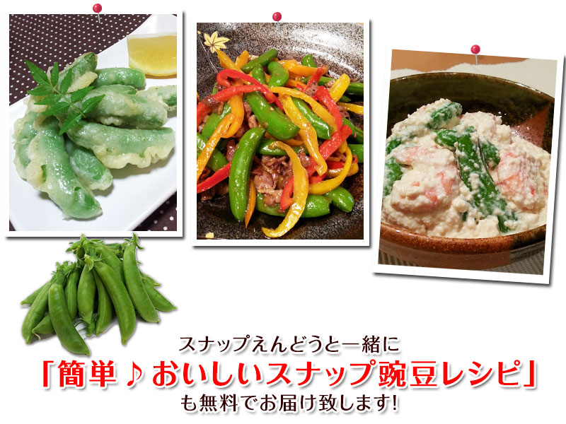 ������ꥹ�ʥåפ���ɤ�2kg<br>���䤴�ȿ��٤�롢�ä��δŤ��Υϥ������ݤΥ��ʥåפ���ɤ�����ľ���Ǥ��Ϥ����ޤ��� ��2025ǯ4���ܤ���ν缡�в�