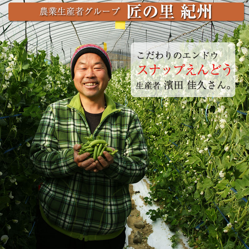 ������ꥹ�ʥåפ���ɤ�2kg<br>���䤴�ȿ��٤�롢�ä��δŤ��Υϥ������ݤΥ��ʥåפ���ɤ�����ľ���Ǥ��Ϥ����ޤ��� ��2025ǯ4���ܤ���ν缡�в�