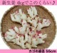 2025ǯͽ<br>ժ²λ2kg <BR><BR>īΤ쿷¿ι ժ<BR>ϤΥϥݤѿ𡹤⤯<BR>֤䤫ʿ̣ħο礦Ǥ<BR>