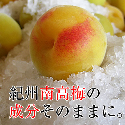 ̵ź�� ����α� 250g<br>��������߿����ޤ�Υ��������ͭ�������äפ�ߥͥ��˭�٤Ǥޤ��䤫�ʱ�̣����ǽ����<br>5,400�߰ʾ������̵�����̳�ƻ���������