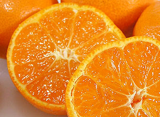 ����1�ܤ���30�ĤΤߤ���̽���<BR>��̣�ޤ����ܤ�720ml��1������ ��1���ְ���(�ڡ��������������)��ȯ��ͽ���