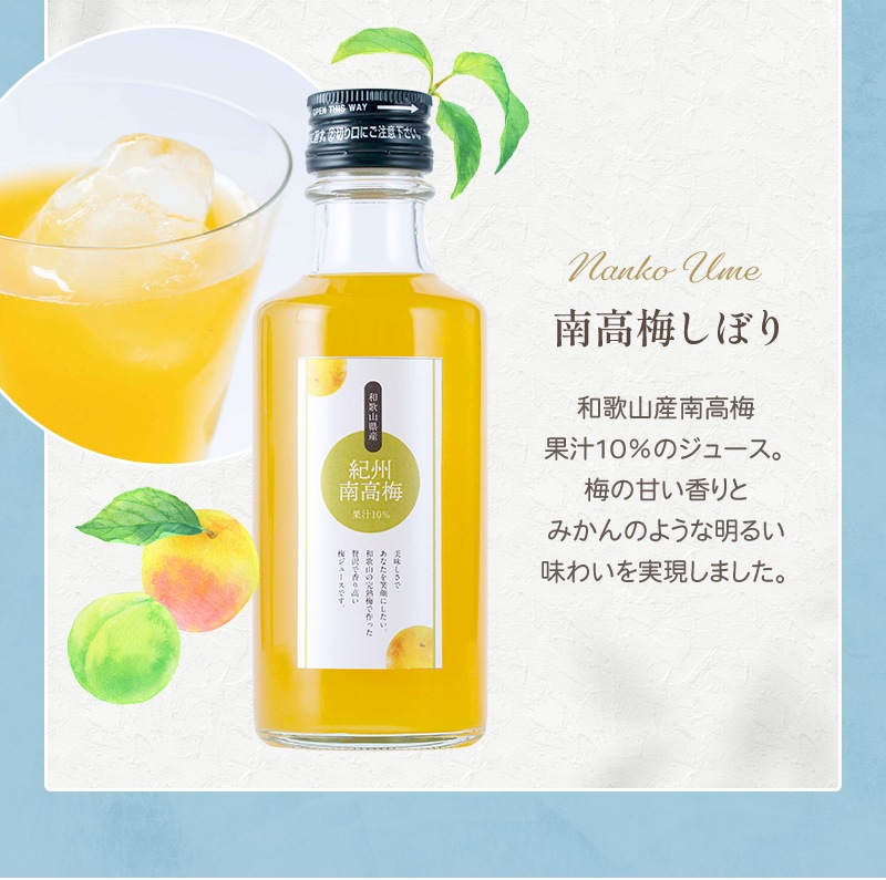 ��10%OFF�����ݥ�������� �ץ쥼��� ���ե� �ե롼�� �������� �դߤ����� ���꡼ �͹礻 ���ե� �̼¤Τ�����(��) �ߤ��� ���� ���� �ޥ󥴡� �������� �����