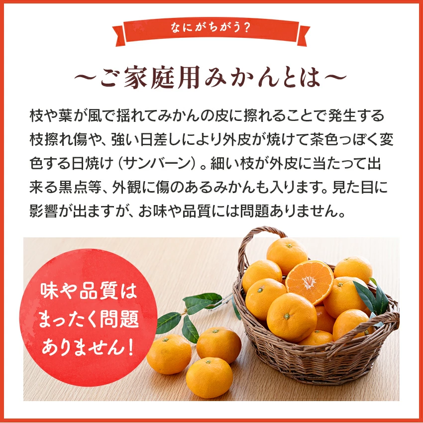 2025ǯ ͽ󳫻 ܾͭĤߤ򤴲Ǽڤ  ͭĤߤ S M L 3kg 11ܤ缡в١