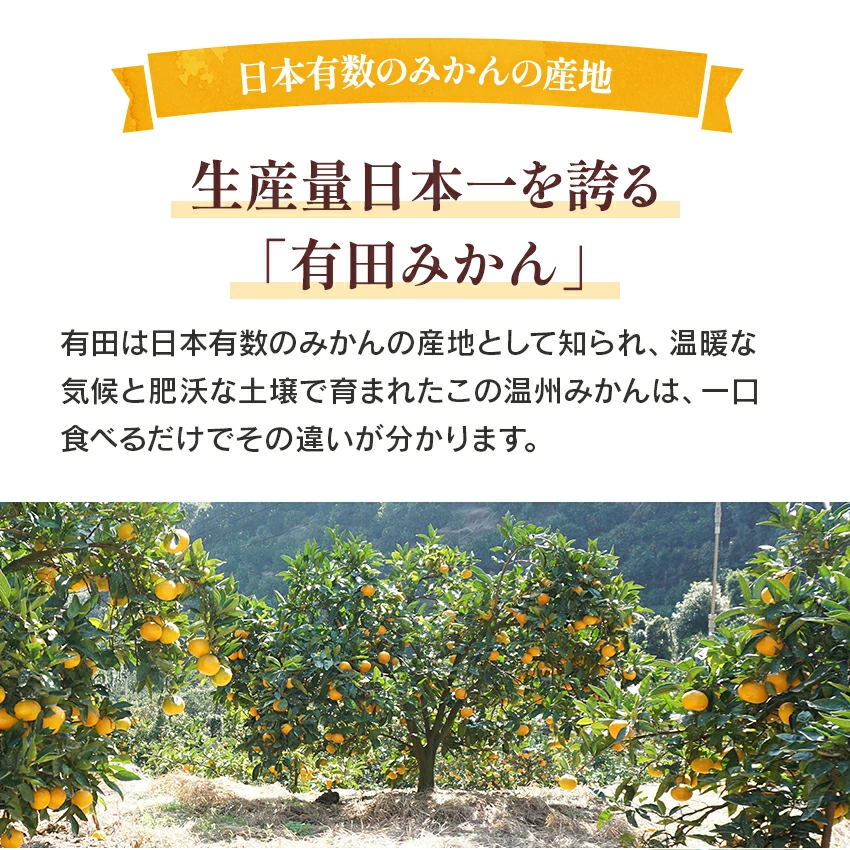 2025ǯ ��ͽ�󳫻� �ܾ�ͭ�Ĥߤ���򤴲����Ǽ�ڤ� ������ ������ͭ�Ĥߤ��� S M L���������� 5kg ��11��ܤ��缡�в١�