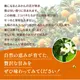 2025ǯ ��ͽ�󳫻� �ܾ�ͭ�Ĥߤ���򤴲����Ǽ�ڤ� ������ ������ͭ�Ĥߤ��� S M L���������� 5kg ��11��ܤ��缡�в١�