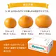 2025ǯ ��ͽ�󳫻� �ܾ�ͭ�Ĥߤ���򤴲����Ǽ�ڤ� ������ ������ͭ�Ĥߤ��� S M L���������� 5kg ��11��ܤ��缡�в١�