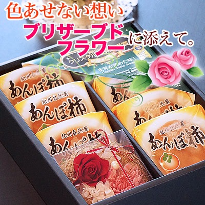 ̵ź�� �򹯥��ե� ������ ���������֤ۡ���ݳ���7�������²λ������ˡ����٤�񻺥ץꥶ���֥ɥե����å�  1��70g�ʾ��Ω�ɤʴ����� ����̵�� ���̳�ƻ��������� iTQi7ǯϢ³���������ǹ�̤Υ��������̣�о޼��޾��ʡ���ˤ� ���ե�