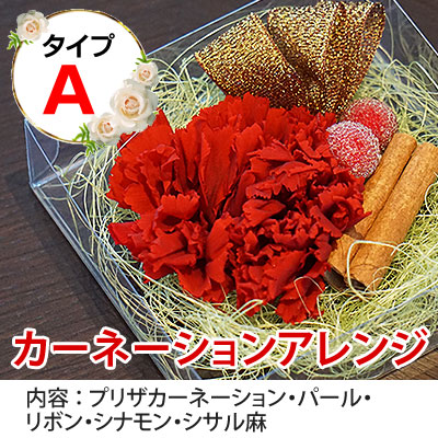 ̵ź�� ������ ���������֤ۡ���ݳ���11��  �� �񻺥ץꥶ���֥ɥե����å�  ����̵�����̳�ƻ��������� iTQi7ǯϢ³���������ǹ�̤Υ��������̣�о޼��޾��ʡ����ե� ��ˤ�