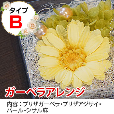 ̵ź�� ������ ���������֤ۡ���ݳ���11��  �� �񻺥ץꥶ���֥ɥե����å�  ����̵�����̳�ƻ��������� iTQi7ǯϢ³���������ǹ�̤Υ��������̣�о޼��޾��ʡ����ե� ��ˤ�