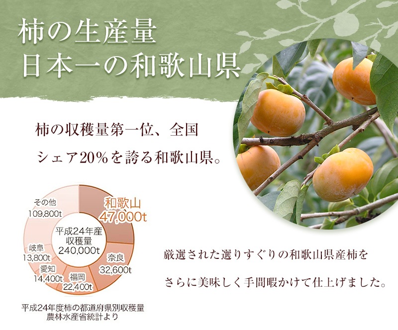  2025 ̵ź ݳʴ 55g 8 <br>  ²λ   ɥ饤ե롼 iTQi 10ǯϢ³޾ <br>̵̳ƻ mom papa