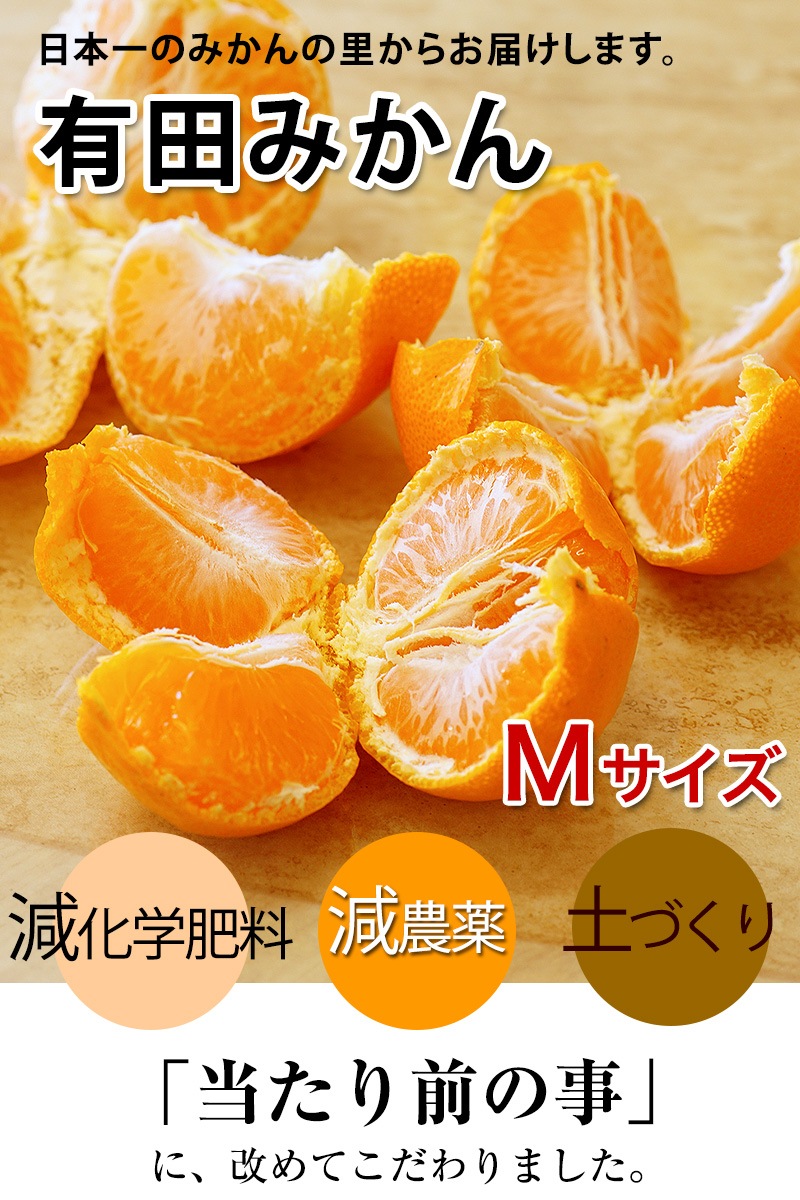 2025ǯ ͽ󳫻 ΥޥݤẠ̊́ͭĤߤ M 3kg ̵̳ƻ Ṭ̪̌<br> 11ܤ餴ʸ˽缡ȯʻԲġ