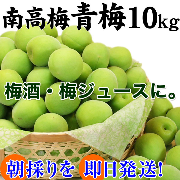 �߼��ߥ��塼����������ߡ�<br>ī�Τ꿷��������ߤ����� ������10kg<br><br>��2019ǯͽ�������ۡ�����̵����<br> ��ñ�ߥ쥷�ԡ����ޤ��բ�<br>�ߴ������ߥ������˺�Ŭ��<br>�����ߤ⤴�����ޤ���