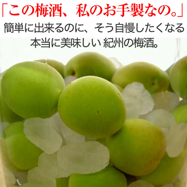 �߼��ߥ��塼����������ߡ�<br>ī�Τ꿷��������ߤ����� ������10kg<br><br>��2019ǯͽ�������ۡ�����̵����<br> ��ñ�ߥ쥷�ԡ����ޤ��բ�<br>�ߴ������ߥ������˺�Ŭ��<br>�����ߤ⤴�����ޤ���