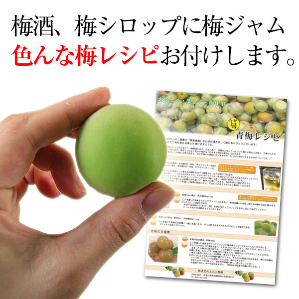 �߼��ߥ��塼����������ߡ�<br>ī�Τ꿷��������ߤ����� ������10kg<br><br>��2019ǯͽ�������ۡ�����̵����<br> ��ñ�ߥ쥷�ԡ����ޤ��բ�<br>�ߴ������ߥ������˺�Ŭ��<br>�����ߤ⤴�����ޤ���