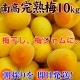 �߼��ߥ��塼����������ߡ�<br>ī�Τ꿷��������ߤ����� ������10kg<br><br>��2019ǯͽ�������ۡ�����̵����<br> ��ñ�ߥ쥷�ԡ����ޤ��բ�<br>�ߴ������ߥ������˺�Ŭ��<br>�����ߤ⤴�����ޤ���