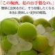 �߼��ߥ��塼����������ߡ�<br>ī�Τ꿷��������ߤ����� ������10kg<br><br>��2019ǯͽ�������ۡ�����̵����<br> ��ñ�ߥ쥷�ԡ����ޤ��բ�<br>�ߴ������ߥ������˺�Ŭ��<br>�����ߤ⤴�����ޤ���
