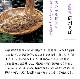 渵 渵 ƥե  ե ̵ ץ쥼<br> ܶᤰꥻå ʤĤ6աˤѡ̵<br>   ؤ б papa sum