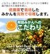 2025ǯ ��ͽ�󳫻� �������������Υޥ�����ݤǺ����̣����ͭ�Ĥߤ��� L������ 3kg ����̵�����̳�ƻ������������ �Ť�����̣����̪��<br> 11��ܤ��餴��ʸ��˽缡ȯ���ʻ������Բġ�