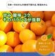 2025ǯ ��ͽ�󳫻� �������������Υޥ�����ݤǺ����̣����ͭ�Ĥߤ��� L������ 3kg ����̵�����̳�ƻ������������ �Ť�����̣����̪��<br> 11��ܤ��餴��ʸ��˽缡ȯ���ʻ������Բġ�