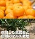 2025ǯ ��ͽ�󳫻� �������������Υޥ�����ݤǺ����̣����ͭ�Ĥߤ��� L������ 3kg ����̵�����̳�ƻ������������ �Ť�����̣����̪��<br> 11��ܤ��餴��ʸ��˽缡ȯ���ʻ������Բġ�