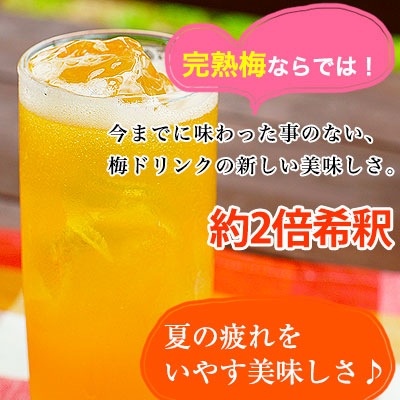 ���ե� �����ߥ��塼���ʵ�������߻��ѡ�500ml 2�ܥ��åȲ���Ȣ��<br>2��ǻ�̥�����<<br>���⤯ǻ���ʥ����Τ����ߥɥ��<br>����̵�����̳�ƻ��������� sum