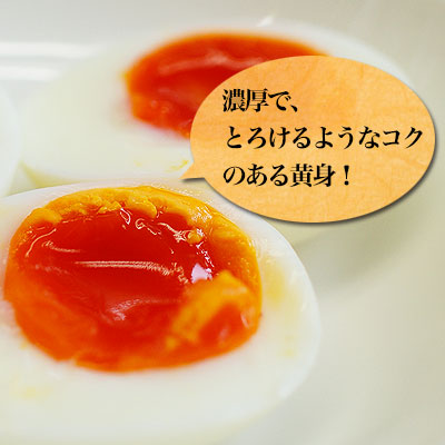 ��������²�Τ�������� 60����<br>���ܵ�ǽ���ʡʥӥ��ߥ�E��>�ӥ��ߥ�E 30�ܡ��ӥ��ߥ�D 8�ܡ�<br>���ǿ��٤Ƥ������ǻ���ʥ�����<br>����̵�����̳�ƻ���������