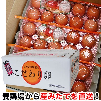 ��������²�Τ�������� 60����<br>���ܵ�ǽ���ʡʥӥ��ߥ�E��>�ӥ��ߥ�E 30�ܡ��ӥ��ߥ�D 8�ܡ�<br>���ǿ��٤Ƥ������ǻ���ʥ�����<br>����̵�����̳�ƻ���������