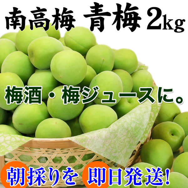 ߡ²λߤ2kg<br>īΤ꿷2019ǯͽ󳫻ϡ<br>ߤ⤴ޤ<br>