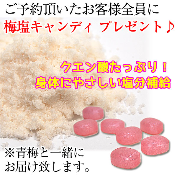 ߡ²λߤ2kg<br>īΤ꿷2019ǯͽ󳫻ϡ<br>ߤ⤴ޤ<br>