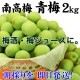 ߡ²λߤ2kg<br>īΤ꿷2019ǯͽ󳫻ϡ<br>ߤ⤴ޤ<br>