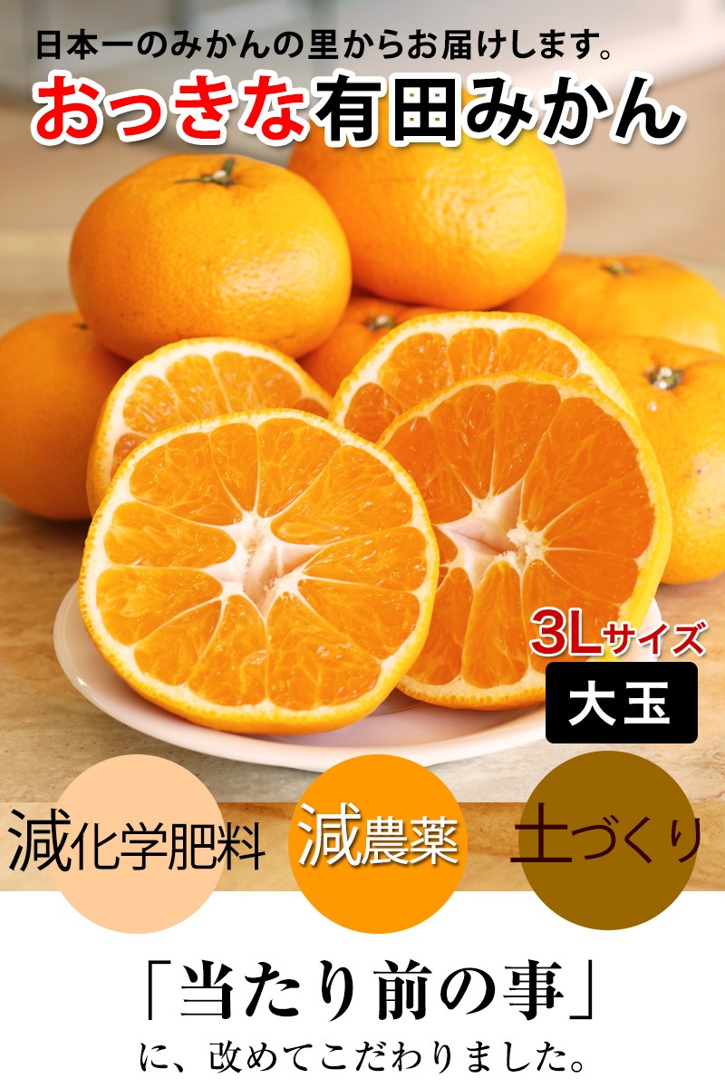 2025ǯ ��ͽ�󳫻� �������� ͭ�Ĥߤ��� ��� �ߤ��� 3L������ ����̵�� (��4.5kg���� �����ߤ��� ���Ϥߤ��� ���ٱ������äפ���礭���ߤ���