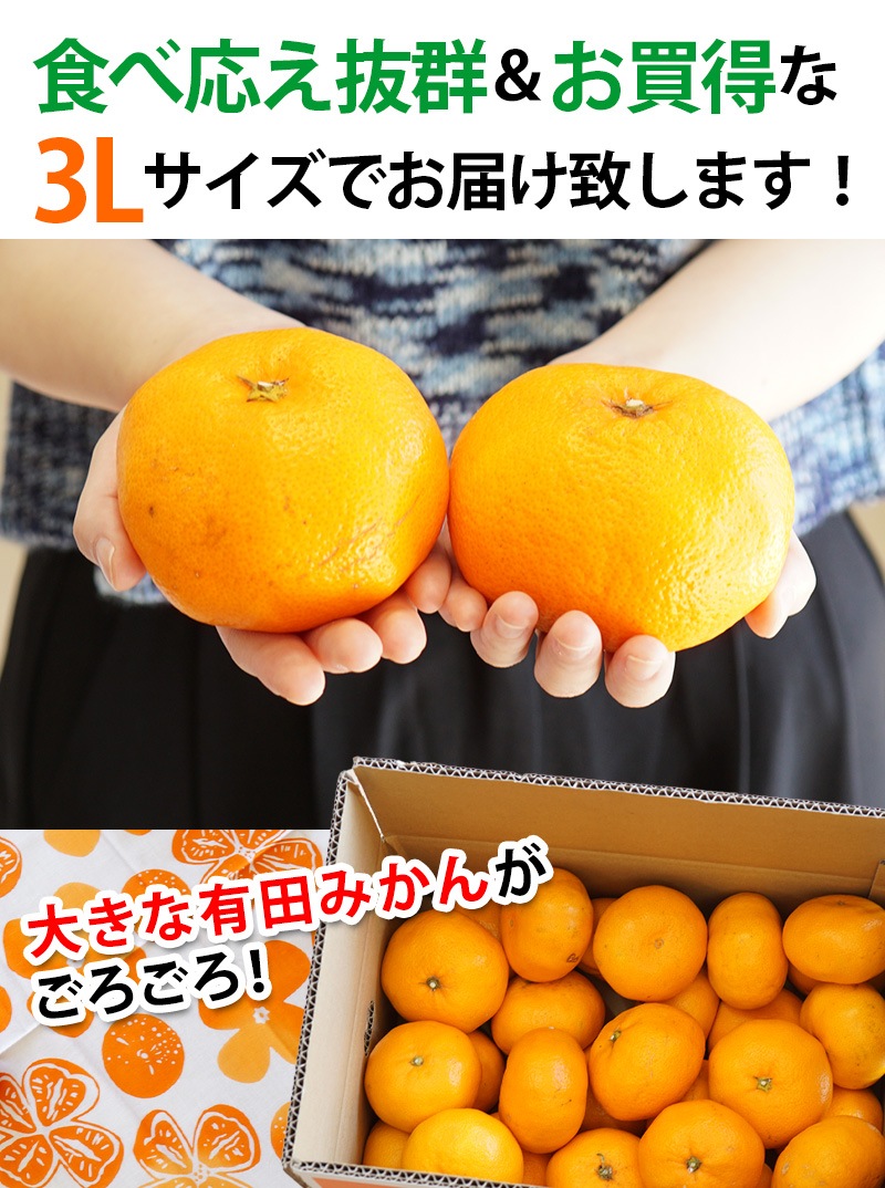2025ǯ ��ͽ�󳫻� �������� ͭ�Ĥߤ��� ��� �ߤ��� 3L������ ����̵�� (��4.5kg���� �����ߤ��� ���Ϥߤ��� ���ٱ������äפ���礭���ߤ���