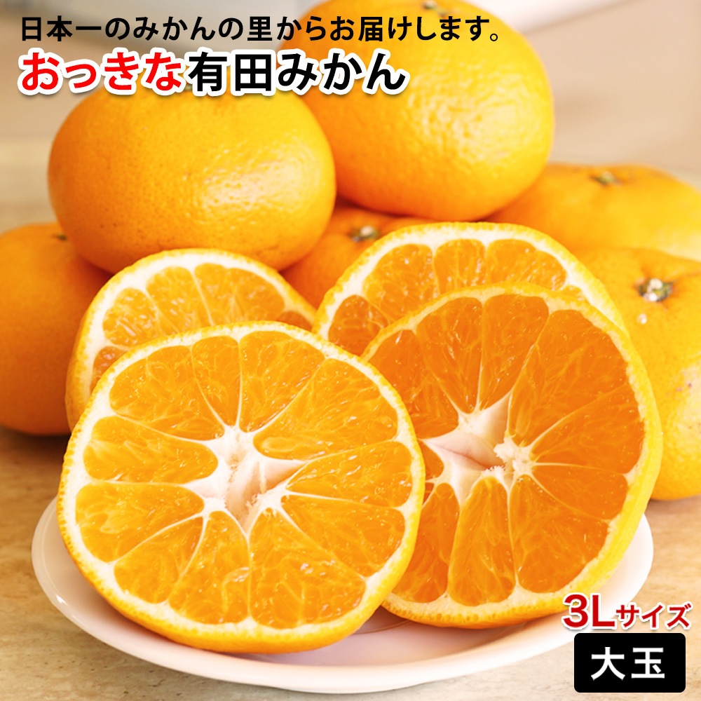 2025年 ご予約開始 ご家庭用 有田みかん 大玉 みかん 3Lサイズ 送料