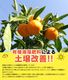 2025ǯ ��ͽ�󳫻� �������� ͭ�Ĥߤ��� ��� �ߤ��� 3L������ ����̵�� (��4.5kg���� �����ߤ��� ���Ϥߤ��� ���ٱ������äפ���礭���ߤ���