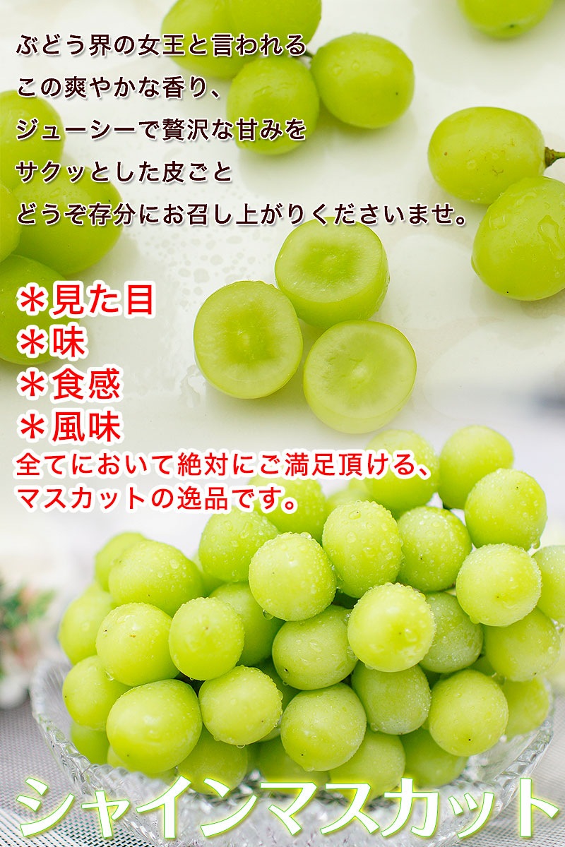 �ϥ����� ���㥤��ޥ����å� ��600g��1˼����<br><br>�ڥ�����������̵���ۢ������ϰ�����<br>��γ����ʤ����餴�ȿ��٤����̣�����֤ɤ���<br>���ٶä���17�ٰʾ塪<br>��ƺ �֥ɥ� �֤ɤ� �ϥ������� ������ �ޥ�����