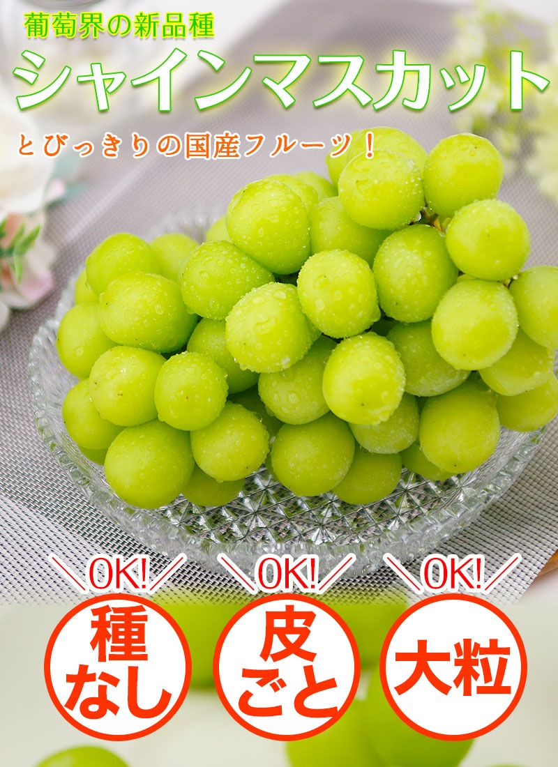 �ϥ����� ���㥤��ޥ����å� ��600g��1˼����<br><br>�ڥ�����������̵���ۢ������ϰ�����<br>��γ����ʤ����餴�ȿ��٤����̣�����֤ɤ���<br>���ٶä���17�ٰʾ塪<br>��ƺ �֥ɥ� �֤ɤ� �ϥ������� ������ �ޥ�����