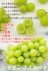 �ϥ����� ���㥤��ޥ����å� ��600g��1˼����<br><br>�ڥ�����������̵���ۢ������ϰ�����<br>��γ����ʤ����餴�ȿ��٤����̣�����֤ɤ���<br>���ٶä���17�ٰʾ塪<br>��ƺ �֥ɥ� �֤ɤ� �ϥ������� ������ �ޥ�����