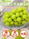 �ϥ����� ���㥤��ޥ����å� ��600g��1˼����<br><br>�ڥ�����������̵���ۢ������ϰ�����<br>��γ����ʤ����餴�ȿ��٤����̣�����֤ɤ���<br>���ٶä���17�ٰʾ塪<br>��ƺ �֥ɥ� �֤ɤ� �ϥ������� ������ �ޥ�����