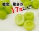 �ϥ����� ���㥤��ޥ����å� ��600g��1˼����<br><br>�ڥ�����������̵���ۢ������ϰ�����<br>��γ����ʤ����餴�ȿ��٤����̣�����֤ɤ���<br>���ٶä���17�ٰʾ塪<br>��ƺ �֥ɥ� �֤ɤ� �ϥ������� ������ �ޥ�����