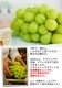 �ϥ����� ���㥤��ޥ����å� ��600g��1˼����<br><br>�ڥ�����������̵���ۢ������ϰ�����<br>��γ����ʤ����餴�ȿ��٤����̣�����֤ɤ���<br>���ٶä���17�ٰʾ塪<br>��ƺ �֥ɥ� �֤ɤ� �ϥ������� ������ �ޥ�����