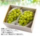 2025ǯ ͽ󳫻 ե ץ쥼 㥤ޥå<br>1kg500g2˼<br>̵ۢϰ<br>γʤ餴ȿ٤̣֤ɤ<br>ٶä17ٰʾ塪ƺ ϥ ޥå