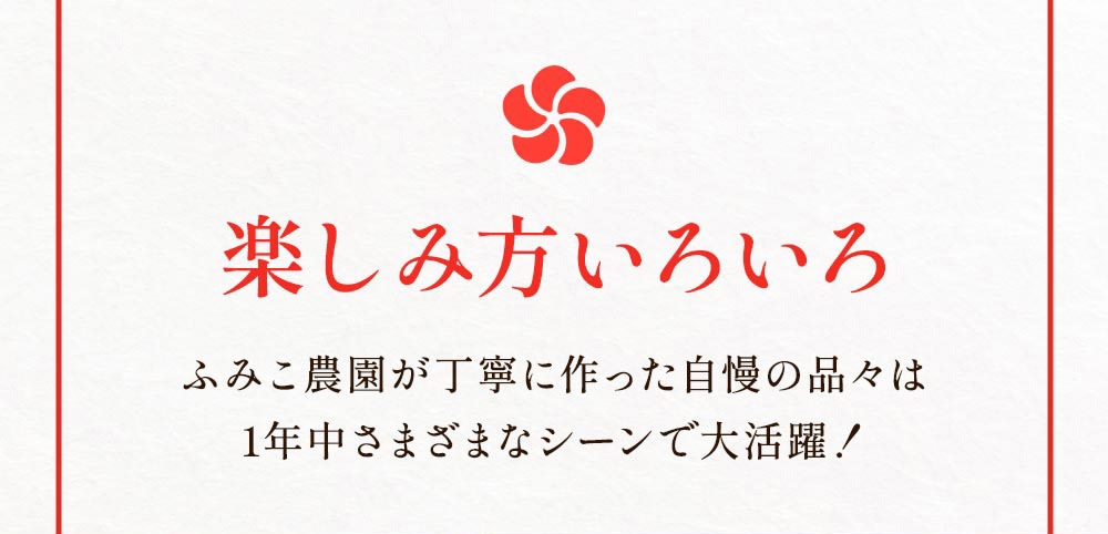 2026 ���� ʡ�� ʡ��8�����å� ��ŷ1�̼��ޥ��եȾ���¿�������ʡ�ޢ�