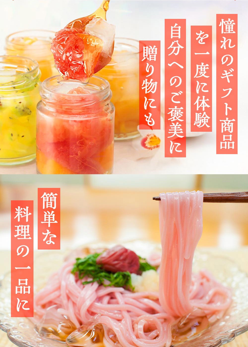 2026 ���� ʡ�� ʡ��8�����å� ��ŷ1�̼��ޥ��եȾ���¿�������ʡ�ޢ�